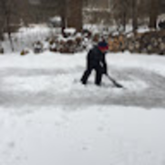 Meet your Posher, Evelyn - Picture 1 of 1